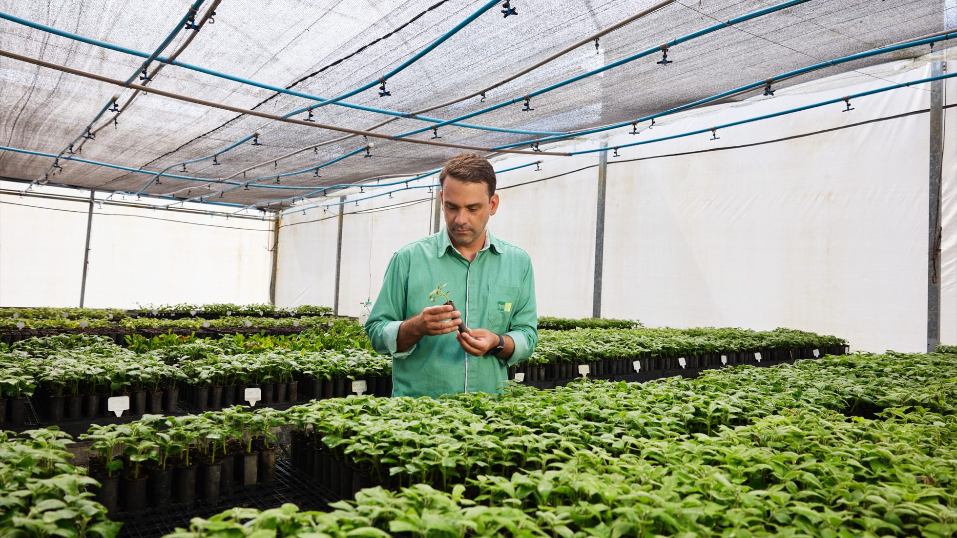 Symbiosis CFO Alan Batista 