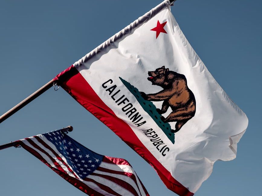 CALIFORNIA FLAG